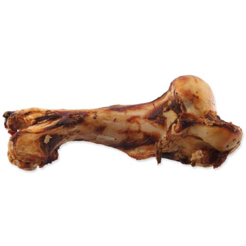 Kosti pes vozlani velikost M 1 kos