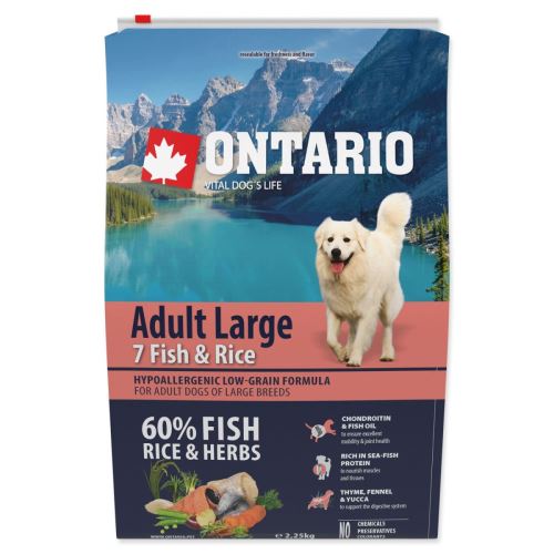 Dog Adult Large Fish & Rice 2,25 kg