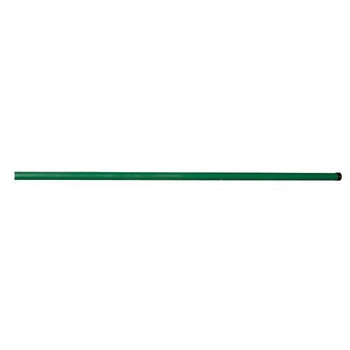 Ograja, dolžina 2,5 m, premer 42 mm, zelena, Fe